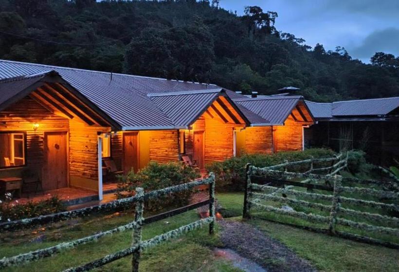 חדר סטנדרט, Tree Trek Boquete Adventure Park