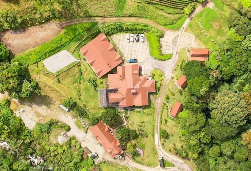 חדר סטנדרט, Tree Trek Boquete Adventure Park