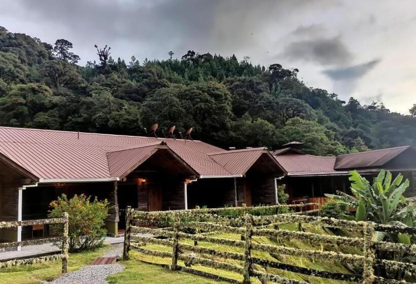 חדר סטנדרט, Tree Trek Boquete Adventure Park