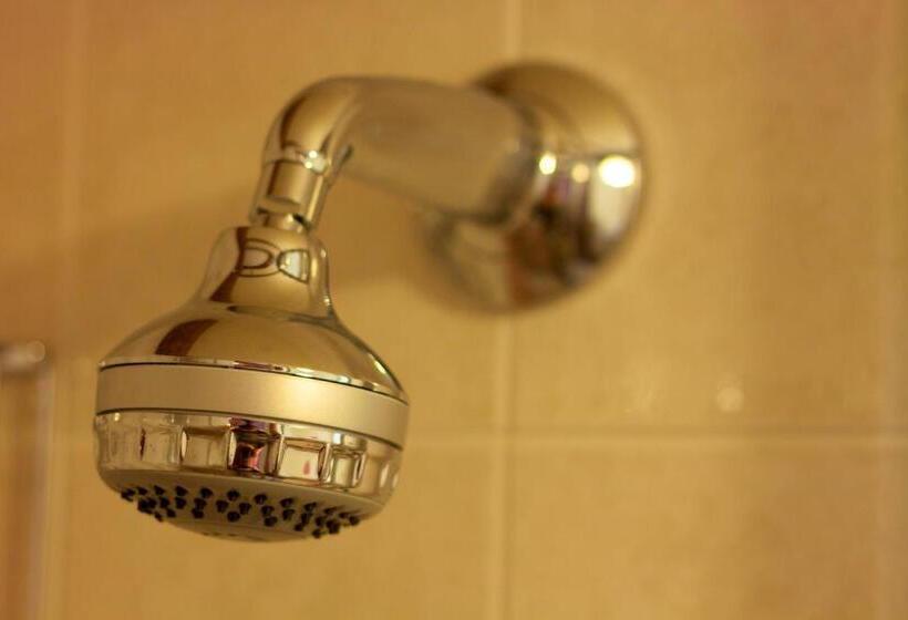 غرفة قياسية فردية, Colston Hall Farmhouse B&b