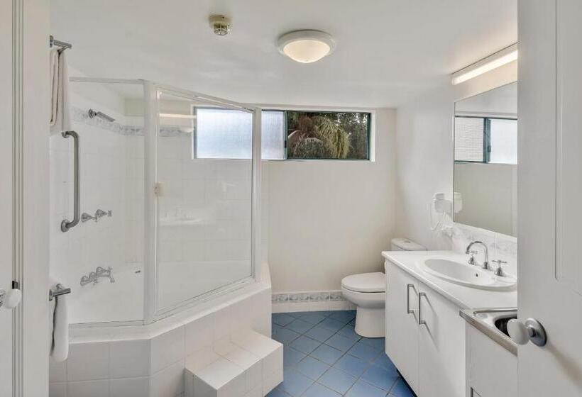 带1个卧室的公寓, Excellsior Apartments