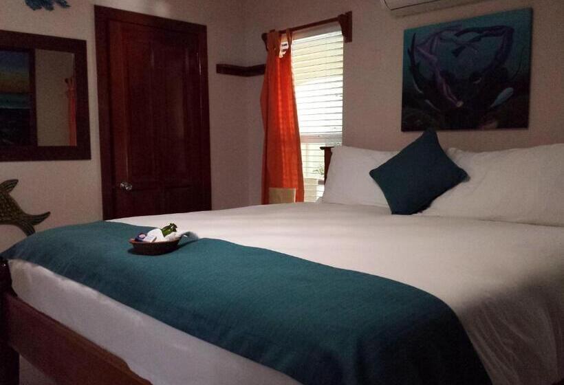 آپارتمان 2 خوابه با چشمانداز دریا, The Palms Oceanfront Suites