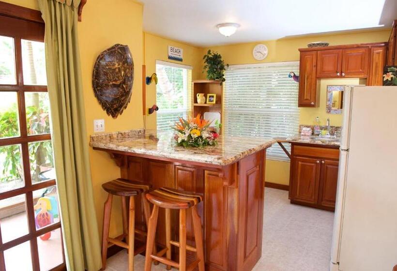 آپارتمان 1 خوابه با چشمانداز استخر, The Palms Oceanfront Suites