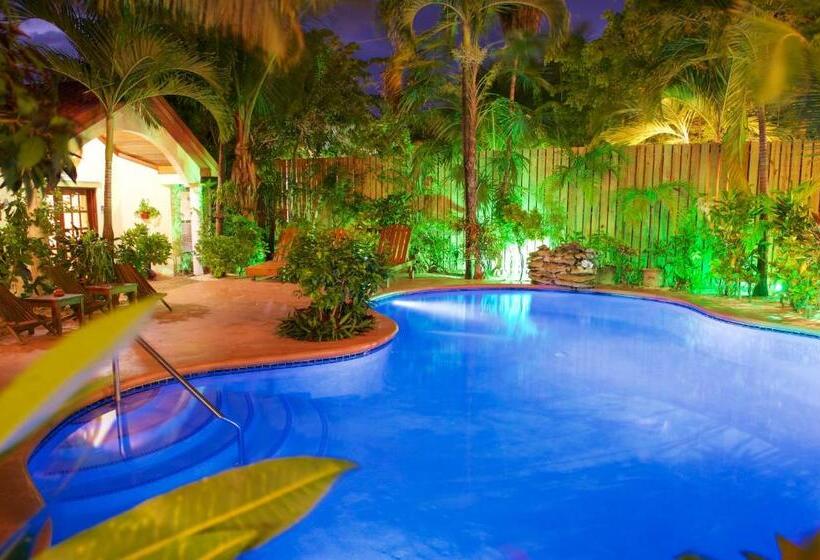 آپارتمان 2 خوابه با چشمانداز دریا, The Palms Oceanfront Suites