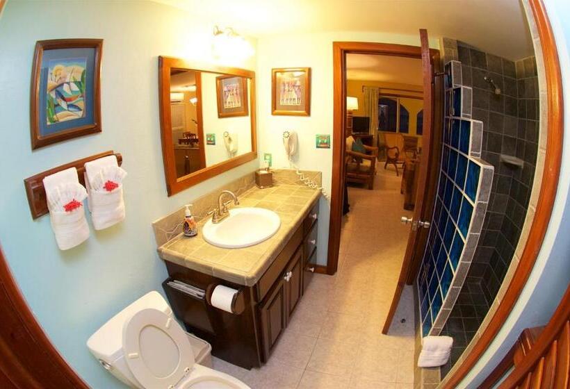 آپارتمان 2 خوابه با چشمانداز دریا, The Palms Oceanfront Suites