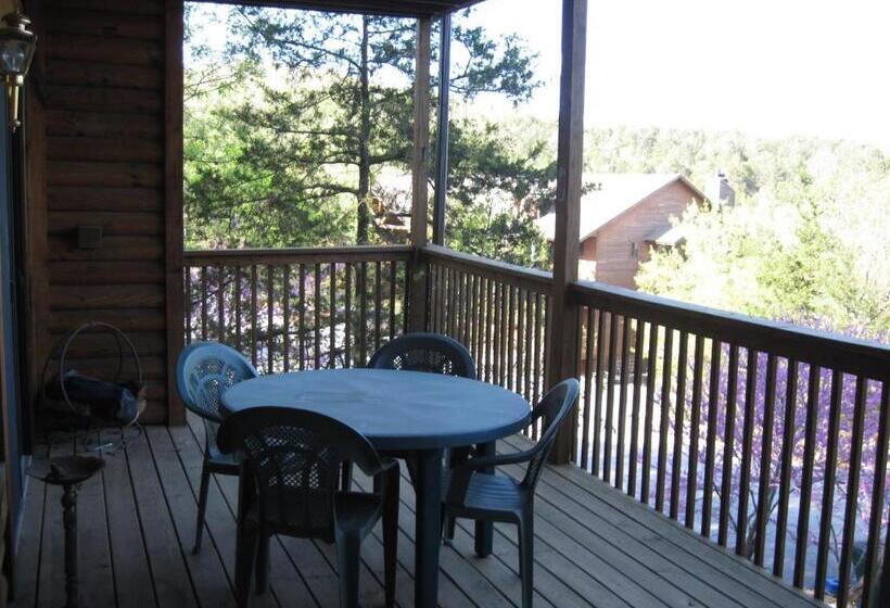 آپارتمان 1 خوابه, The Village At Indian Point Resort