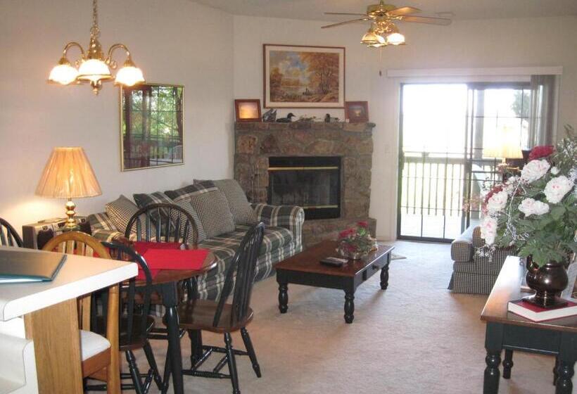 آپارتمان 2 خوابه, The Village At Indian Point Resort