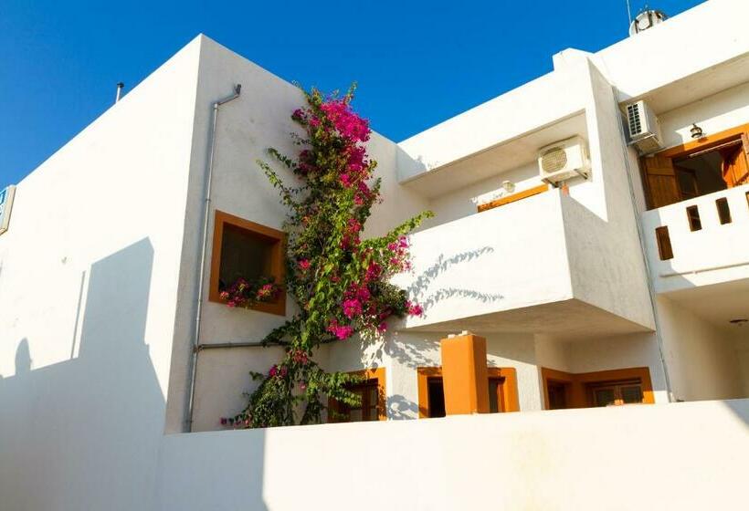 דירת חדר, Ideal