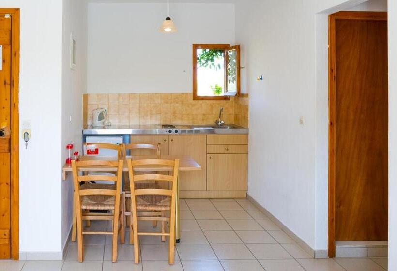 דירת חדר, Ideal