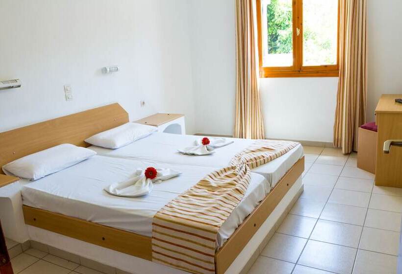 דירת חדר, Ideal