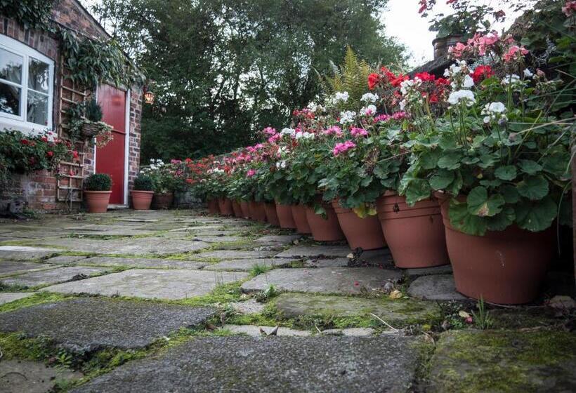 Стандартный Номер Нижний Этаж, Ash Farm Country House