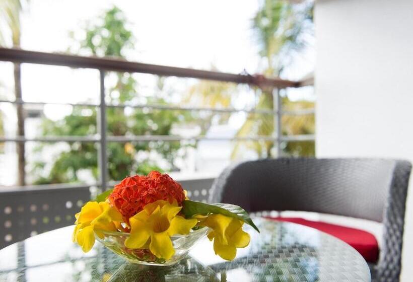 اتاق سوپریور, La Tonnelle Guest House