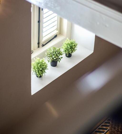 سوییت, Pietermaai Boutique