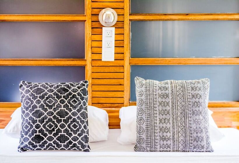 اتاق کلاسیک, Pietermaai Boutique