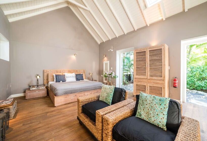 اتاق لوکس, Pietermaai Boutique