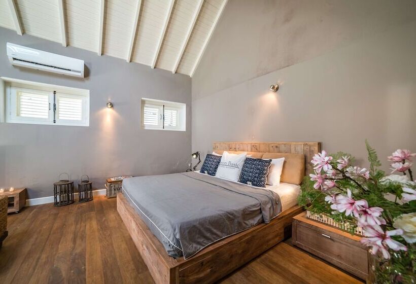 اتاق کلاسیک, Pietermaai Boutique