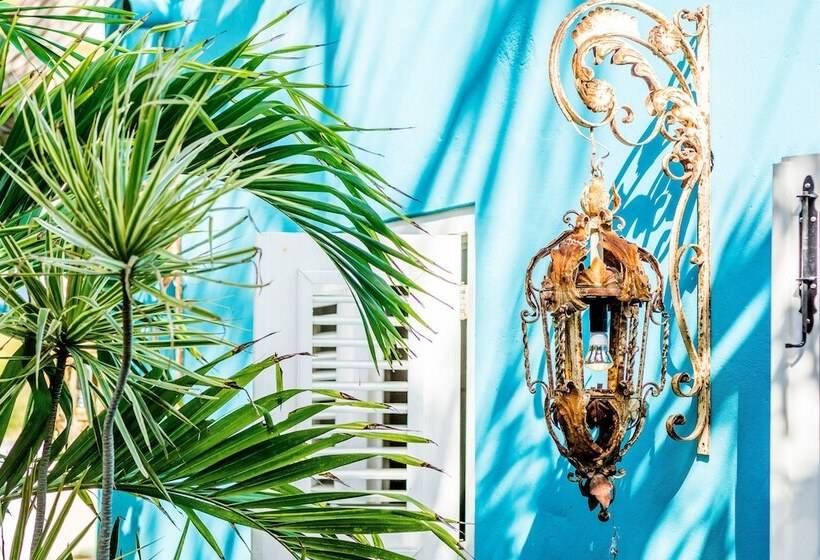 اتاق لوکس, Pietermaai Boutique