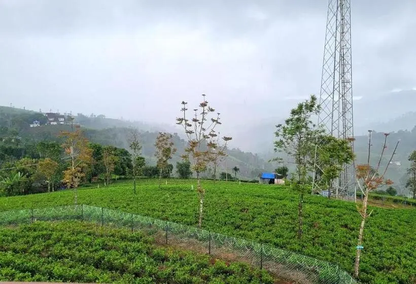 Sviitti 2 Makuuhuonetta, Cloud Canopy   Tea Garden Family Pool Cottage In Vagamon