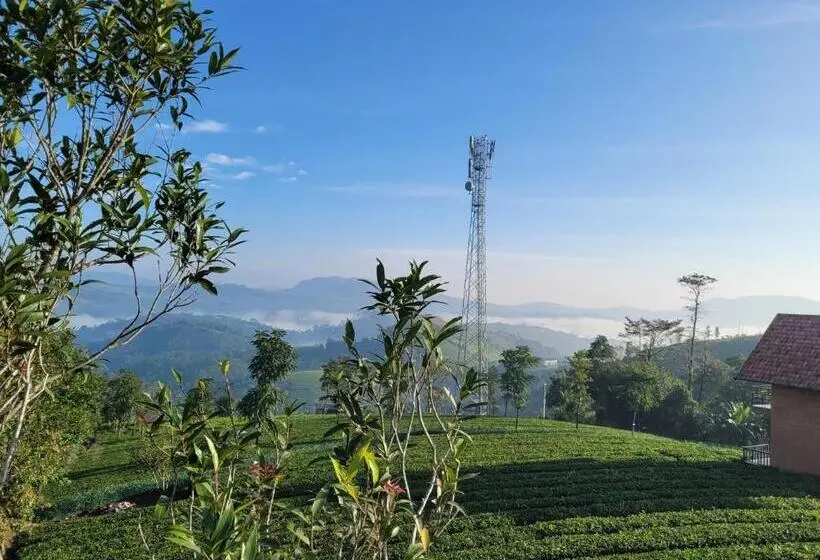Sviitti 2 Makuuhuonetta, Cloud Canopy   Tea Garden Family Pool Cottage In Vagamon