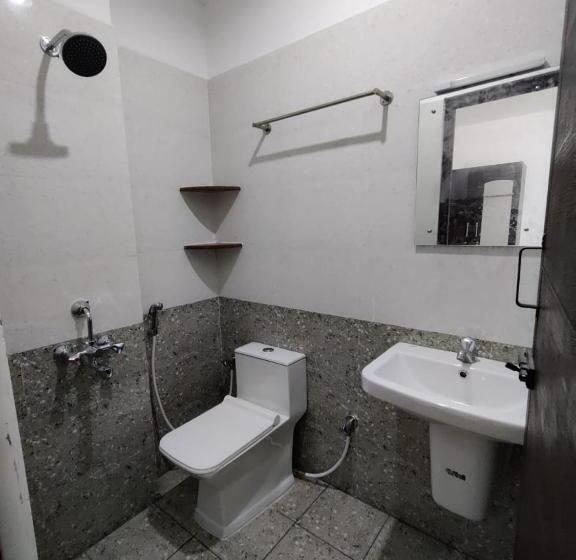 Quarto Economy, Alohaa Homestel