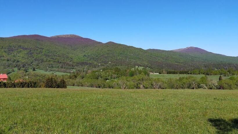 إستوديو قياسى ذو إطلالة, Smerekowa Ostoja