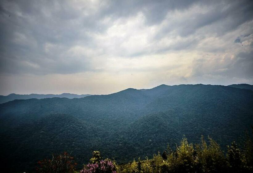 اتاق لوکس با بالکن, Gorilla Leisure Lodge