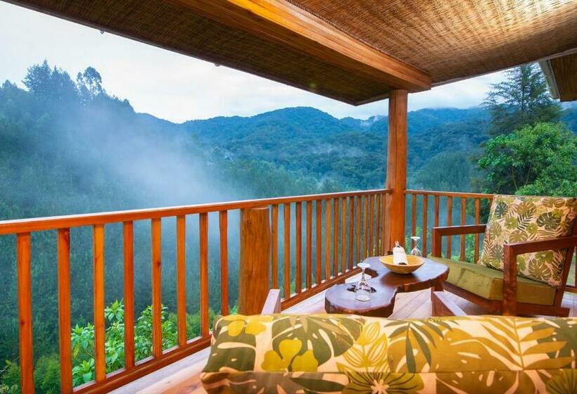 اتاق لوکس با بالکن, Gorilla Leisure Lodge