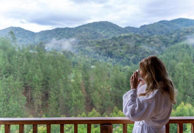 اتاق لوکس با بالکن, Gorilla Leisure Lodge