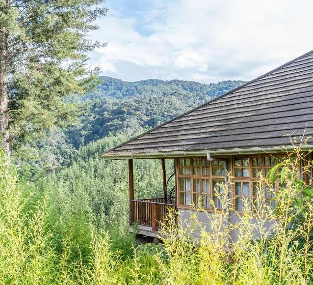 اتاق لوکس با بالکن, Gorilla Leisure Lodge