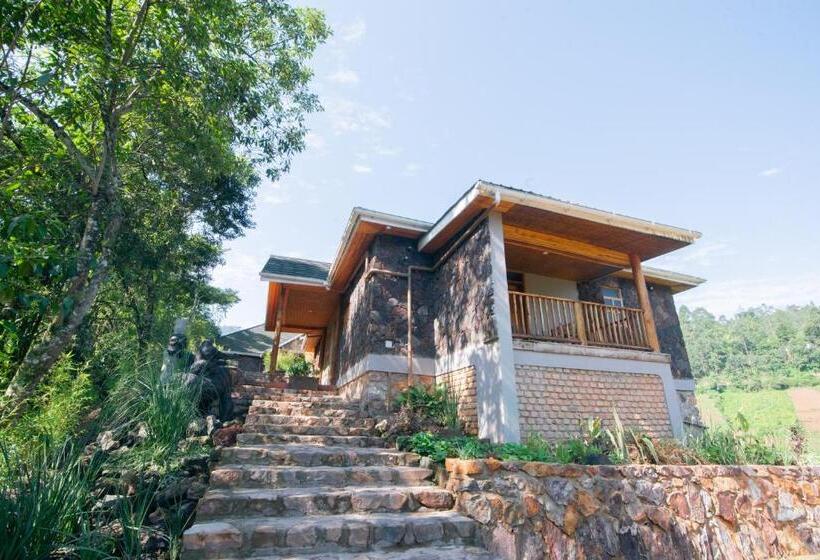 سوییت خانوادگی, Gorilla Leisure Lodge