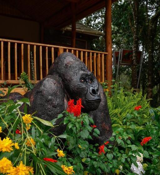 سوییت خانوادگی, Gorilla Leisure Lodge