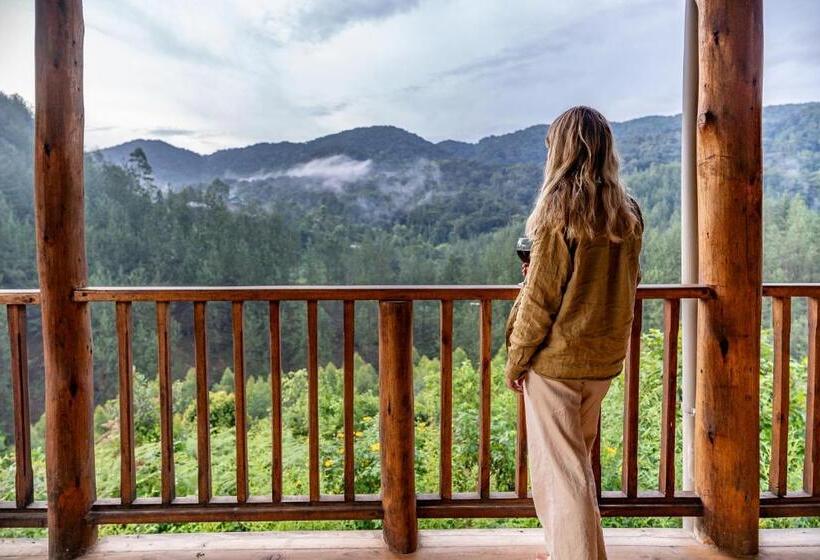 اتاق لوکس سه تخته, Gorilla Leisure Lodge