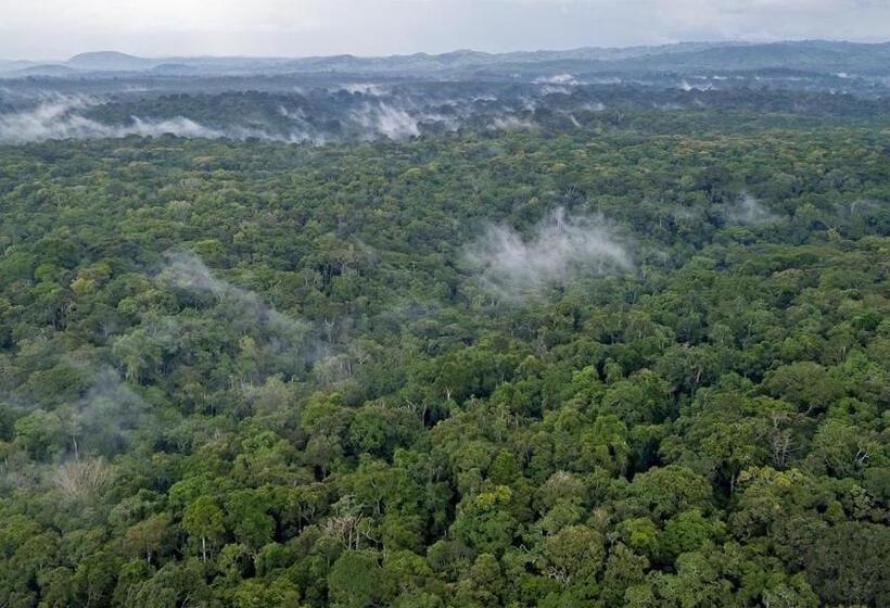 اتاق لوکس سه تخته, Gorilla Leisure Lodge