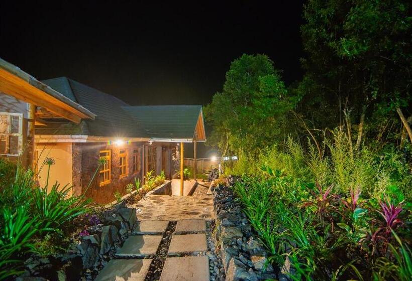 اتاق لوکس سه تخته, Gorilla Leisure Lodge