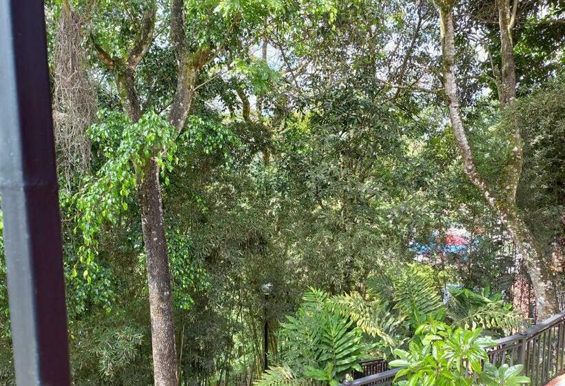 Номер Стандарт Индивидуальный, Villa Paz D F