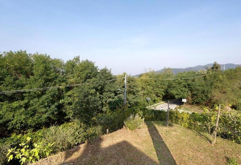 آپارتمان سوپریور 1 خوابه, Gli Ulivi Di Montalbano 1