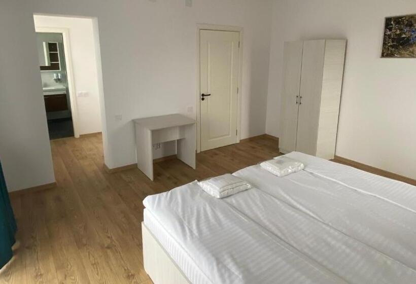 Номер Стандарт, Plaiulgreenbike