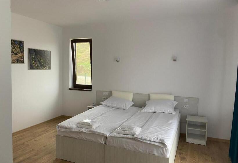 Номер Стандарт, Plaiulgreenbike