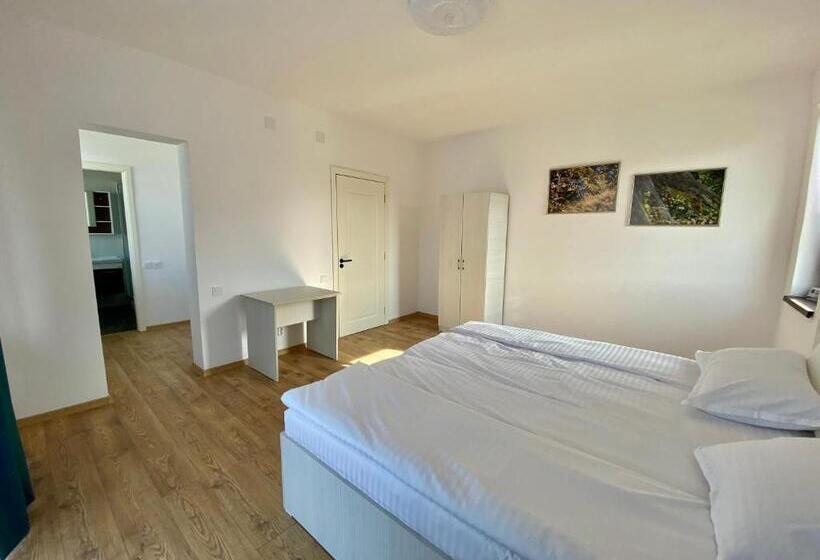 Номер Стандарт, Plaiulgreenbike