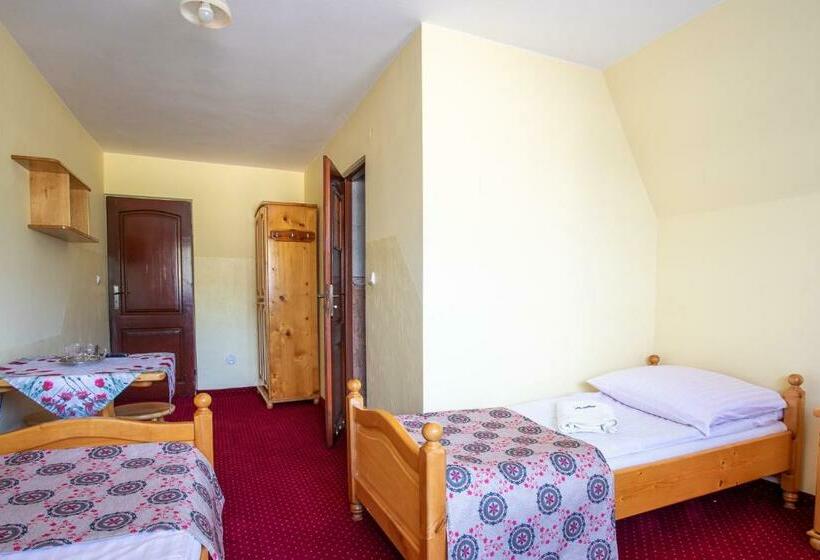 标准间带山景, Dw Paweł