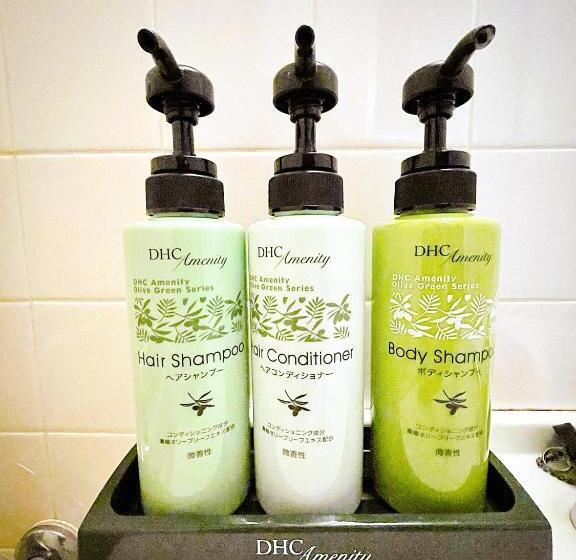 منزل غرفة نوم واحدة, Hakuba Log Hotel Meteor