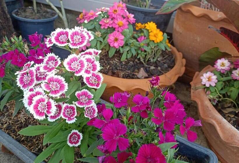 חדר דלוקס יחיד, Homey Hut Ayutthaya