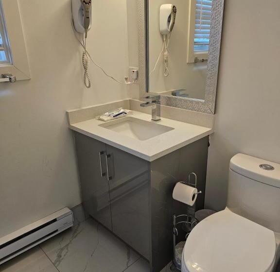 デラックスファミリールーム, Mountain View Hope Motel