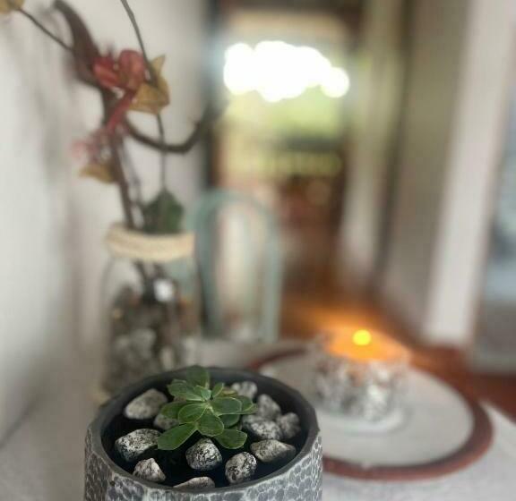 استودیوی استاندارد, Lo Nuestro Hospedaje