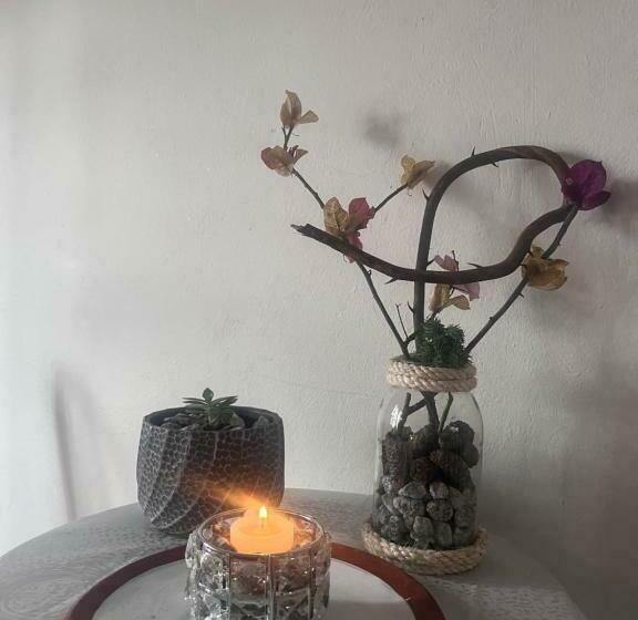 استودیوی استاندارد, Lo Nuestro Hospedaje