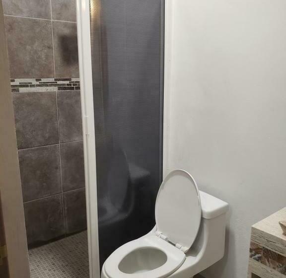 חדר דלוקס, Blue Turtle