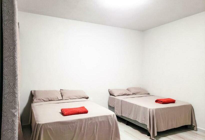 חדר דלוקס, Blue Turtle