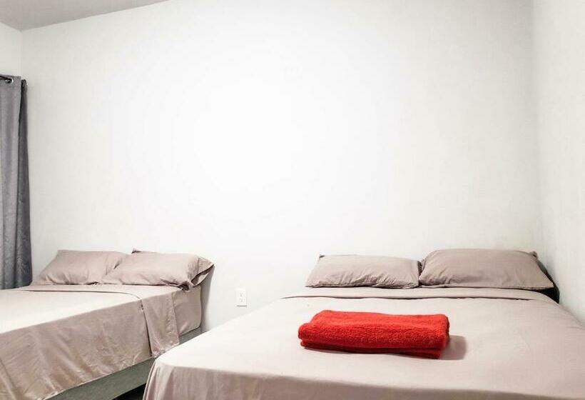 חדר דלוקס, Blue Turtle