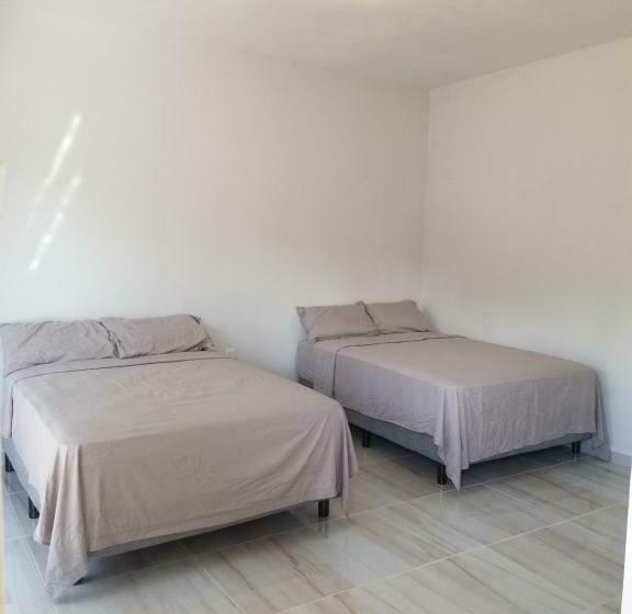 חדר דלוקס, Blue Turtle