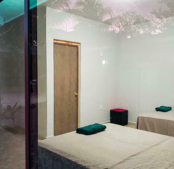 חדר דלוקס, Blue Turtle